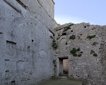 DSCF8709.jpg